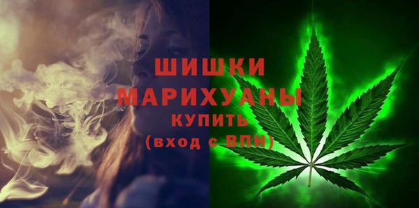 шишки Богородицк