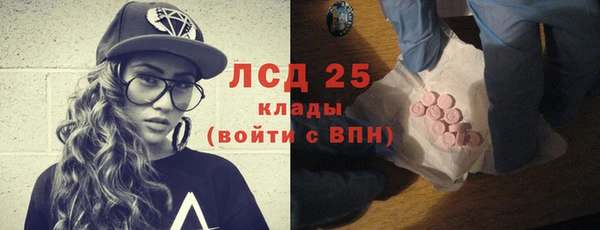 шишки Богородицк