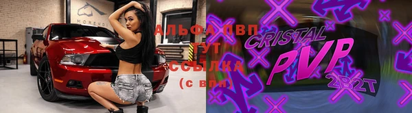 шишки Богородицк