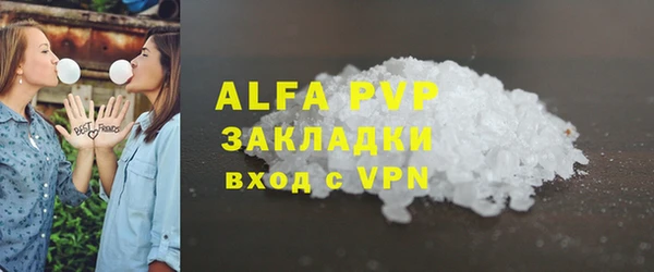 шишки Богородицк
