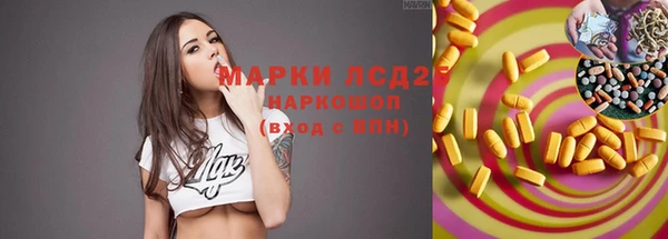 шишки Богородицк