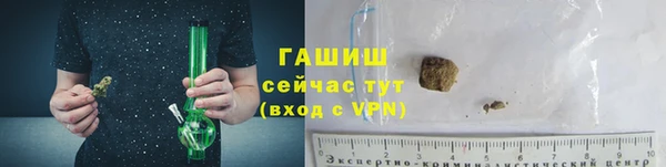 шишки Богородицк