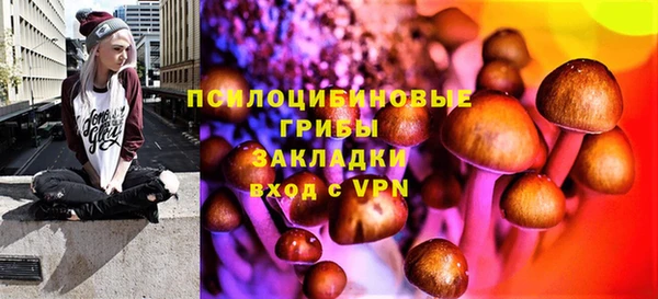 шишки Богородицк